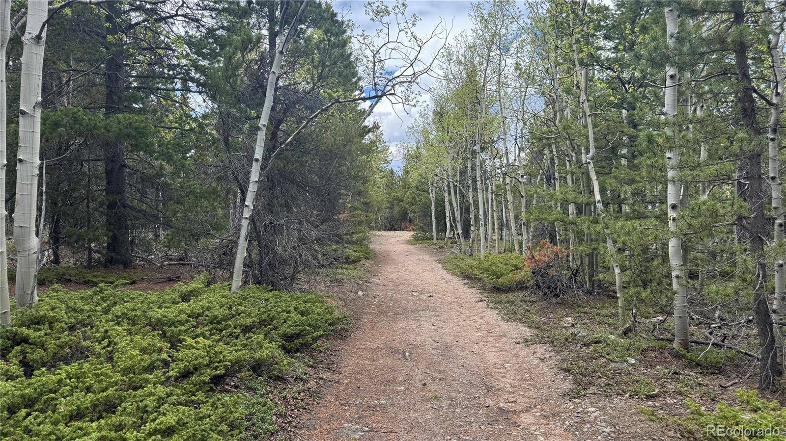 005 Roy Smith RD, Central City, CO 80427