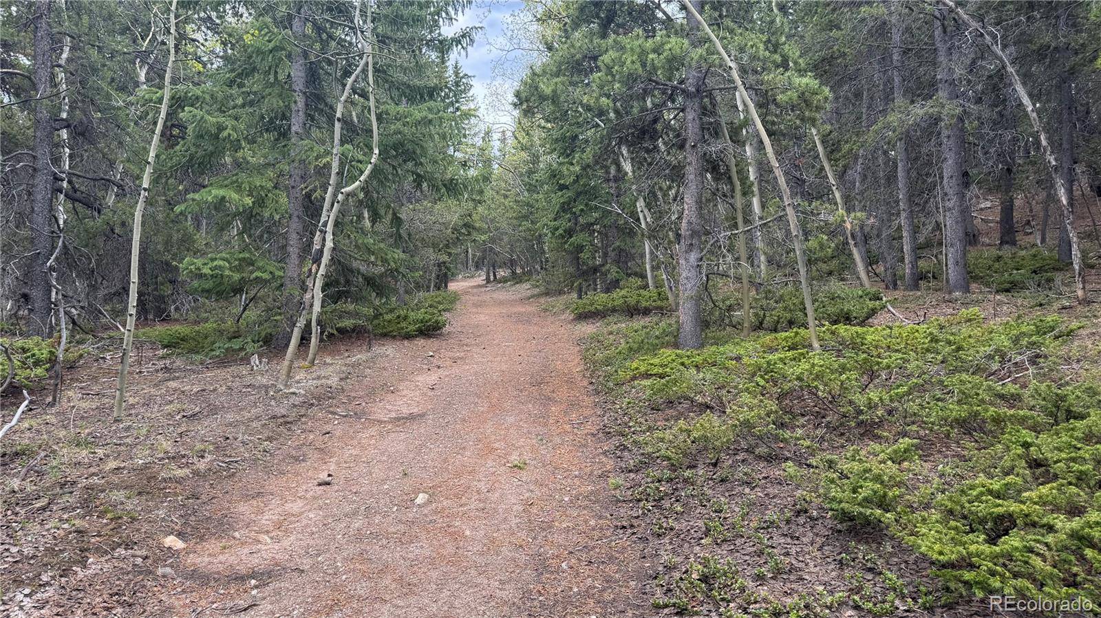 005 Roy Smith RD, Central City, CO 80427