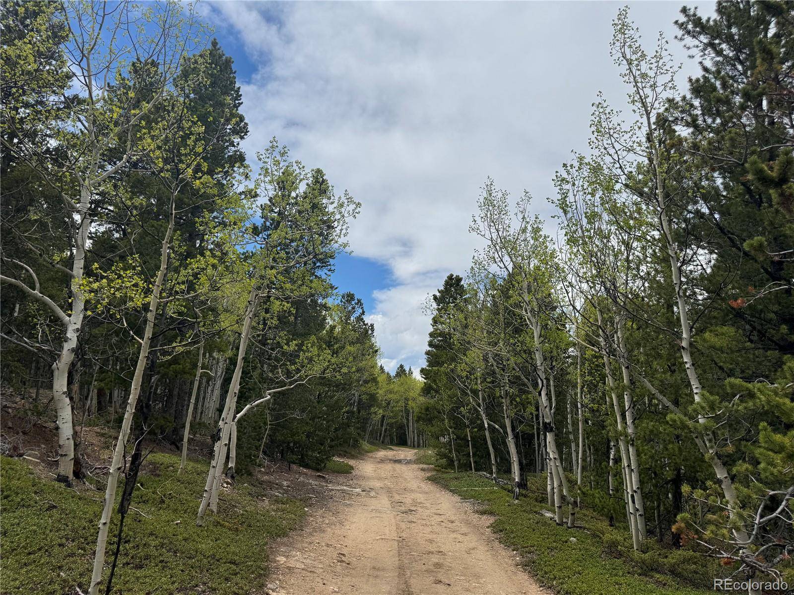 005 Roy Smith RD, Central City, CO 80427