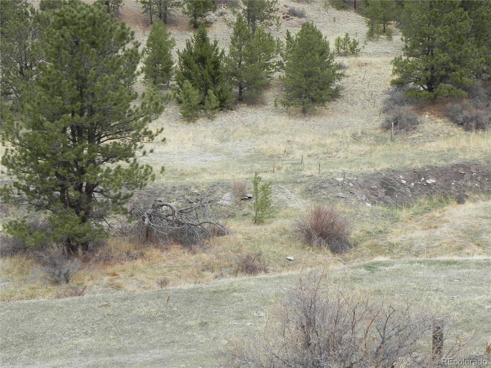 521 Monarch DR, Cripple Creek, CO 80813