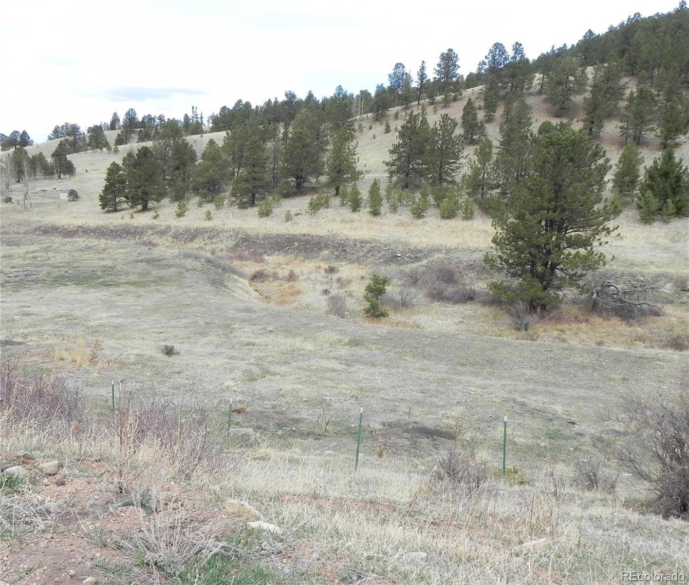 521 Monarch DR, Cripple Creek, CO 80813