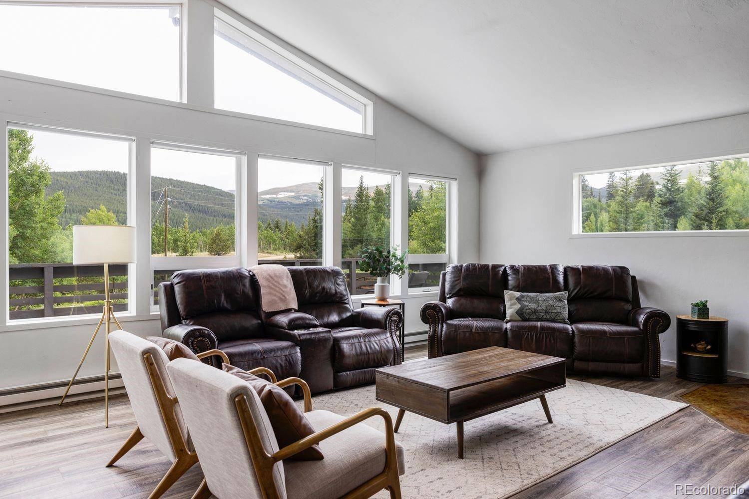 133 Gold Run RD, Alma, CO 80440