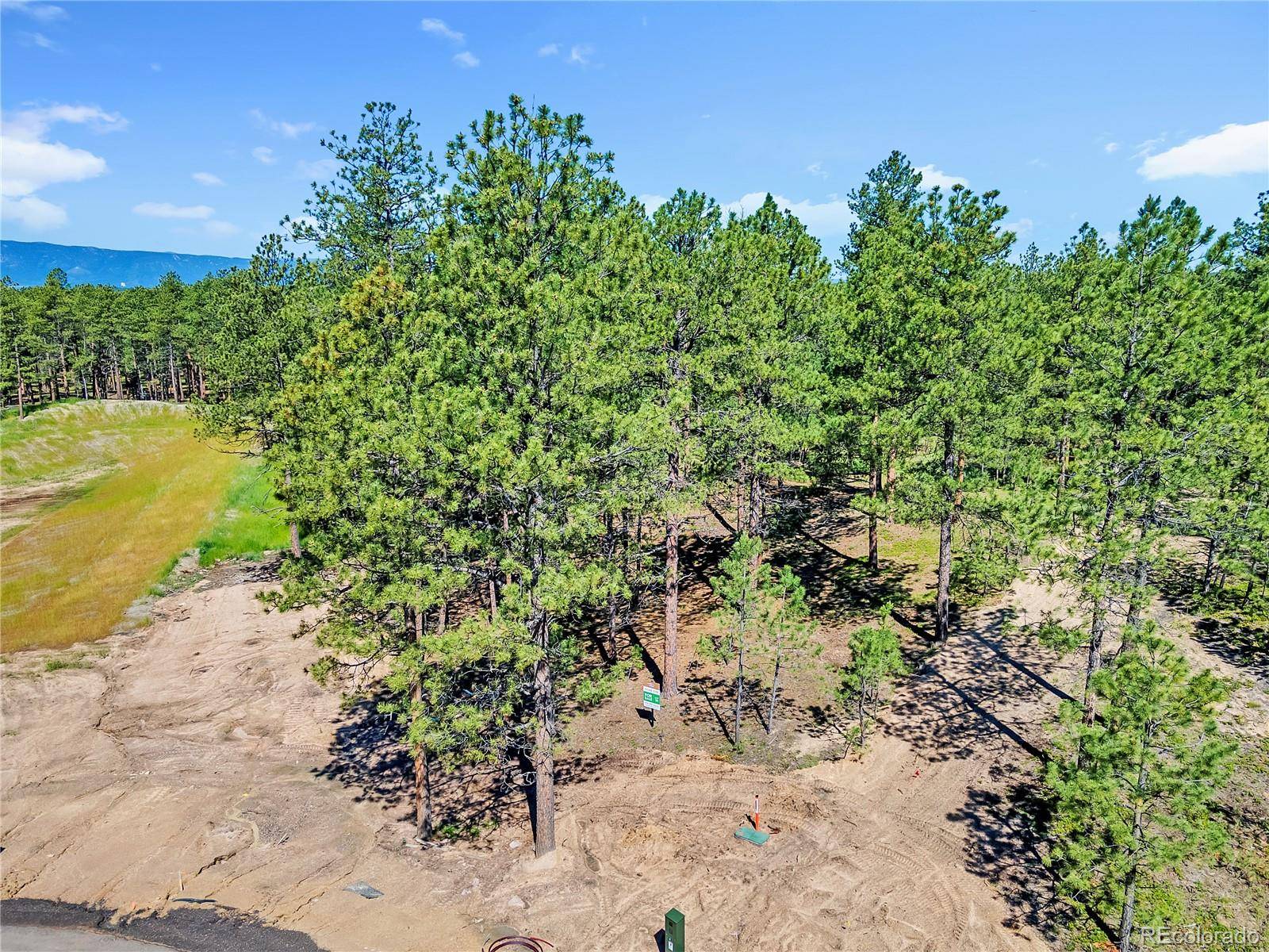 14130 Allen Ranch RD, Colorado Springs, CO 80908