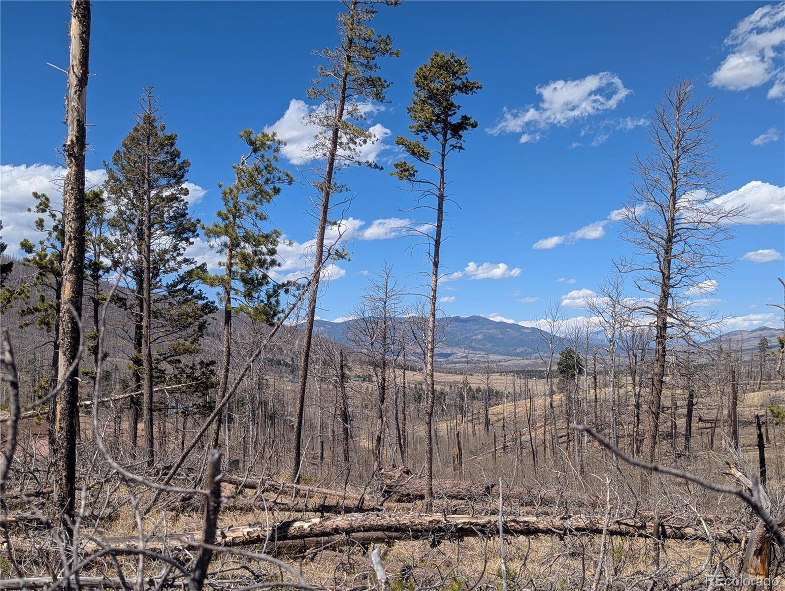 914 Forbes Park RD, Fort Garland, CO 81133