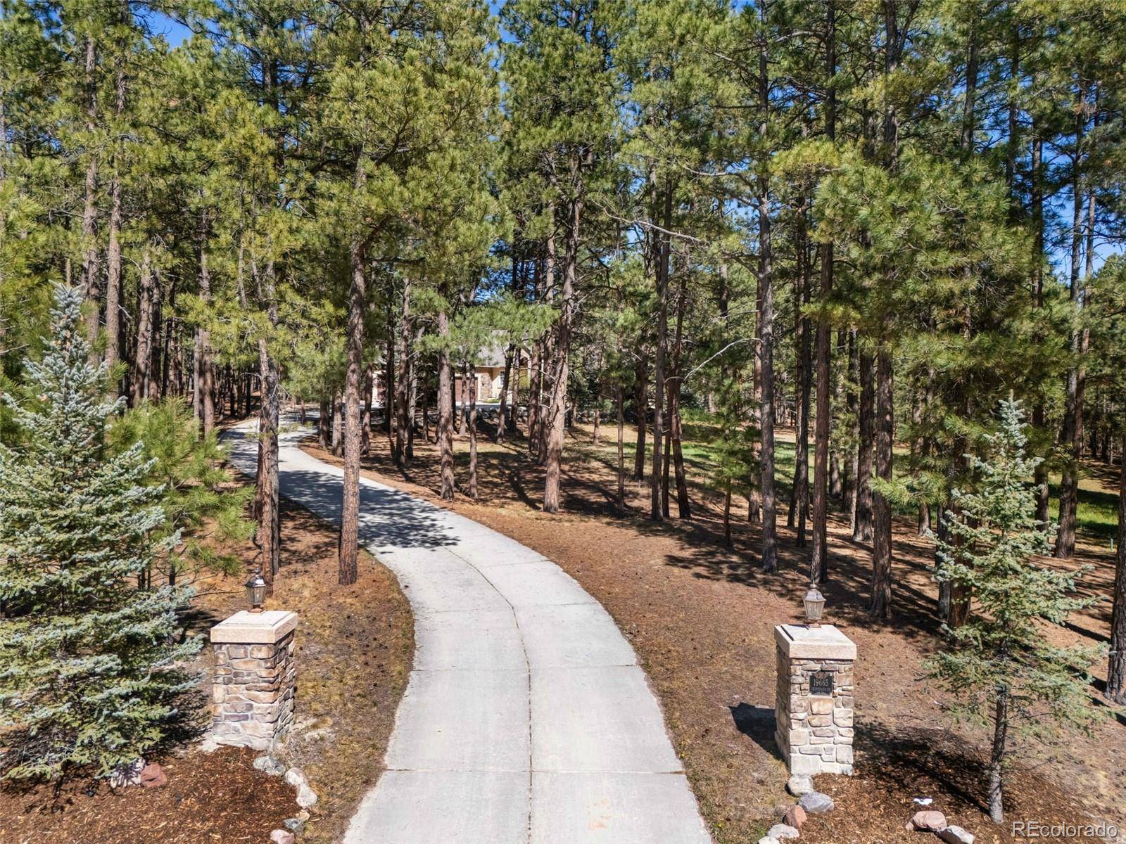 19665 Desparado DR, Colorado Springs, CO 80908