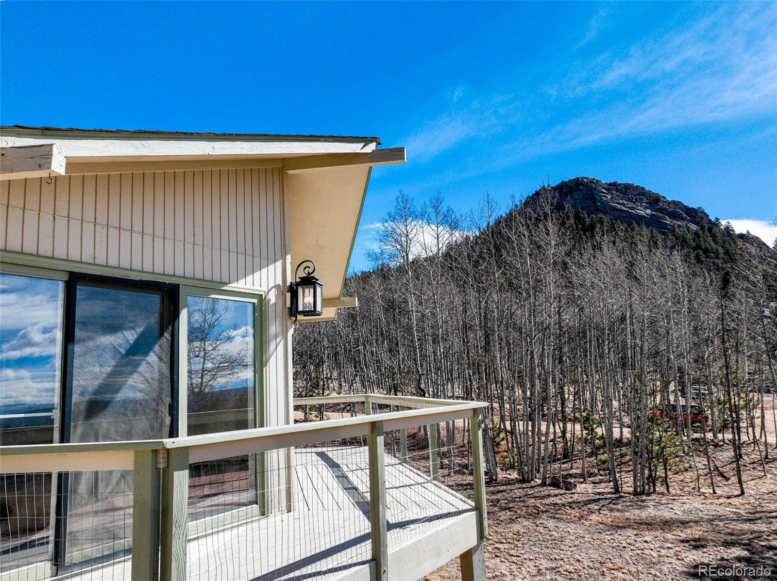1874 Vagabond Creek DR, Lake George, CO 80827