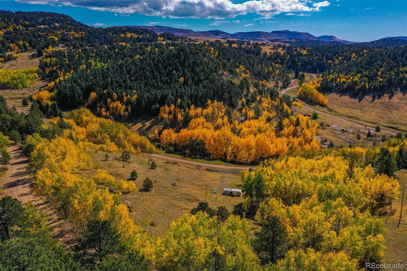 230 Penrose CIR, Cripple Creek, CO 80813