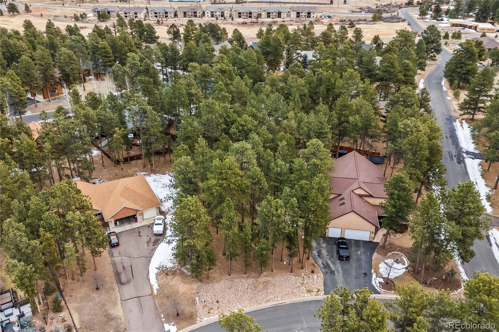 109 Flagstick DR, Woodland Park, CO 80863