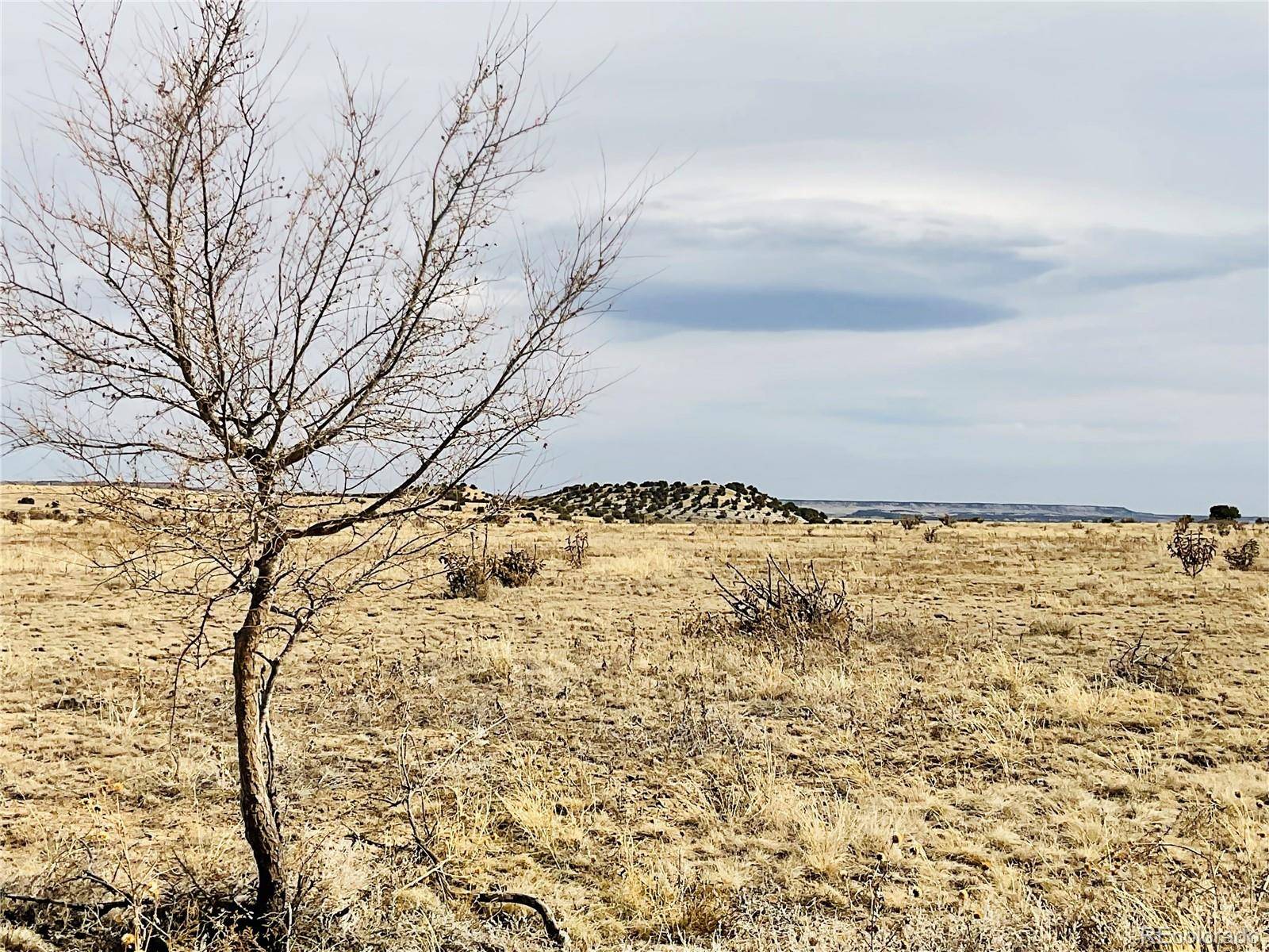 Lot 19 Eagle Ranch RD, Pueblo, CO 81004
