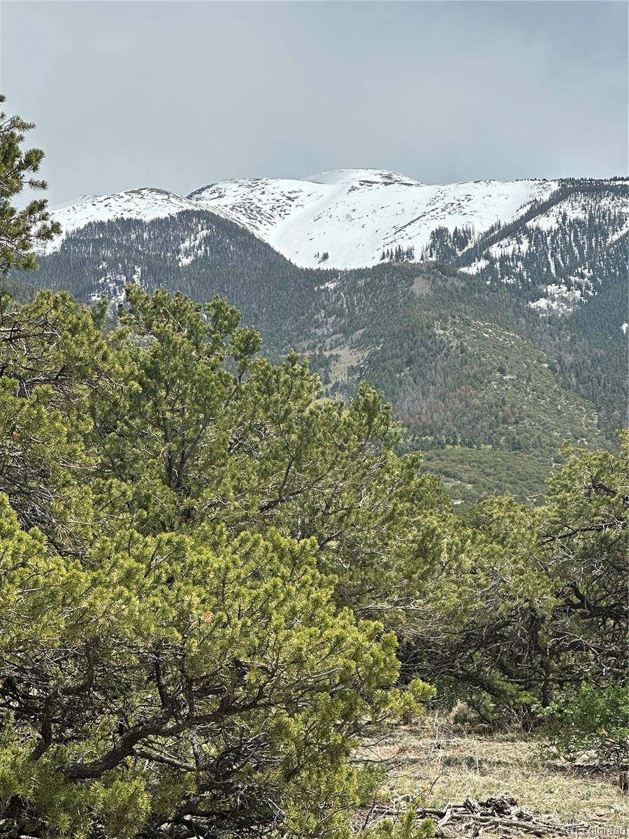 10 Mountain Springs LN, Mosca, CO 81146