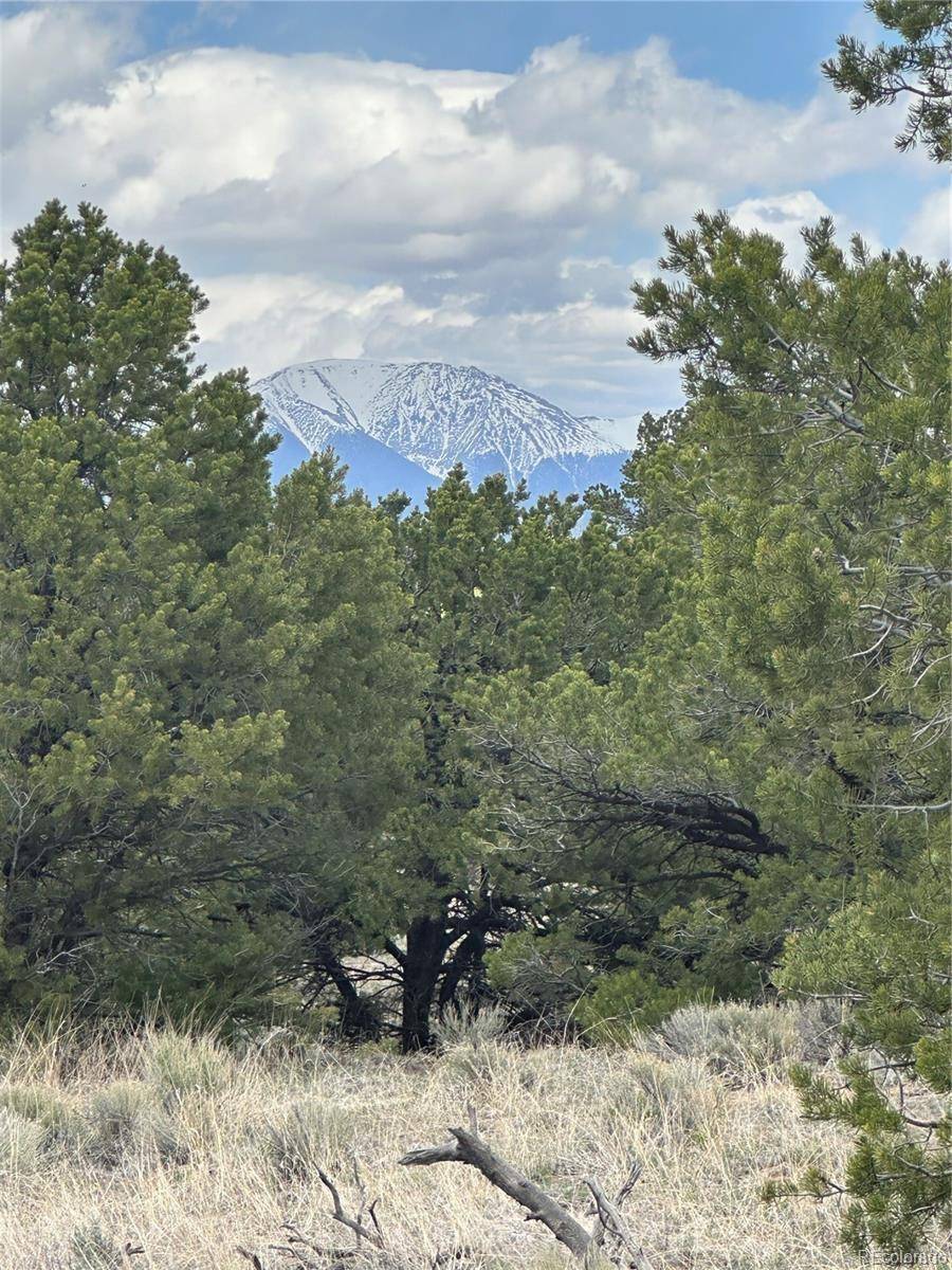 10 Mountain Springs LN, Mosca, CO 81146