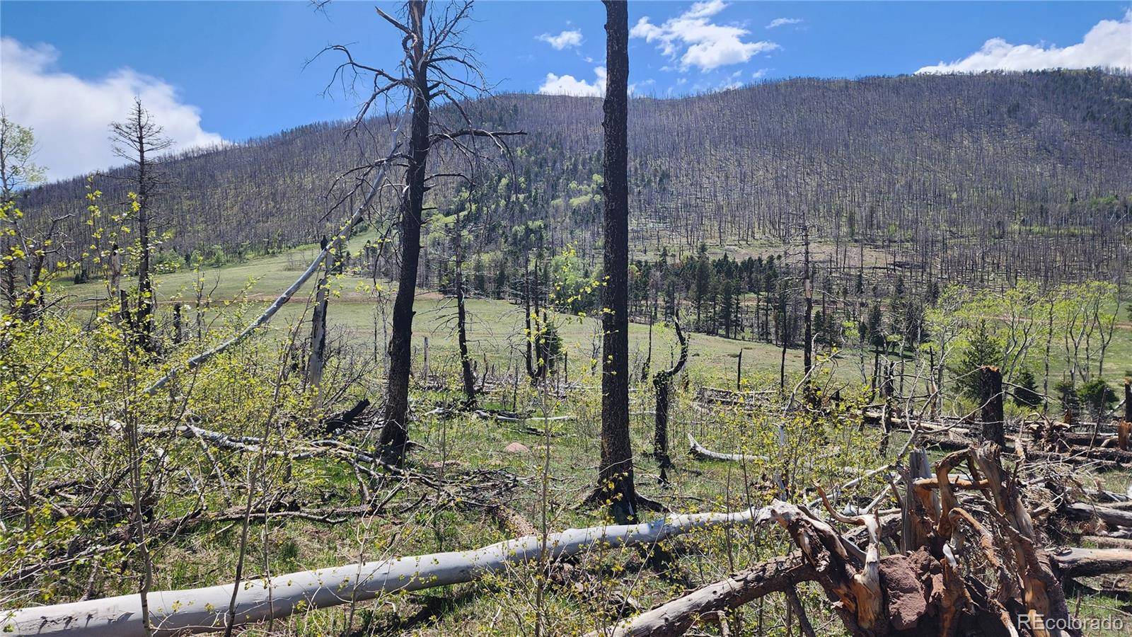2334 Wohlstetter LOOP, Fort Garland, CO 81133