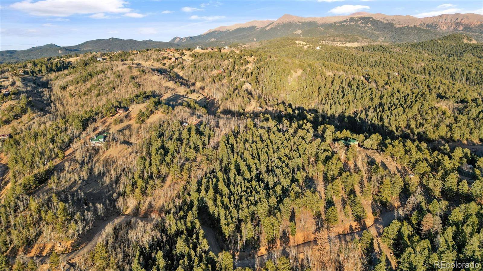 1289 Yorktown RD, Cripple Creek, CO 80813