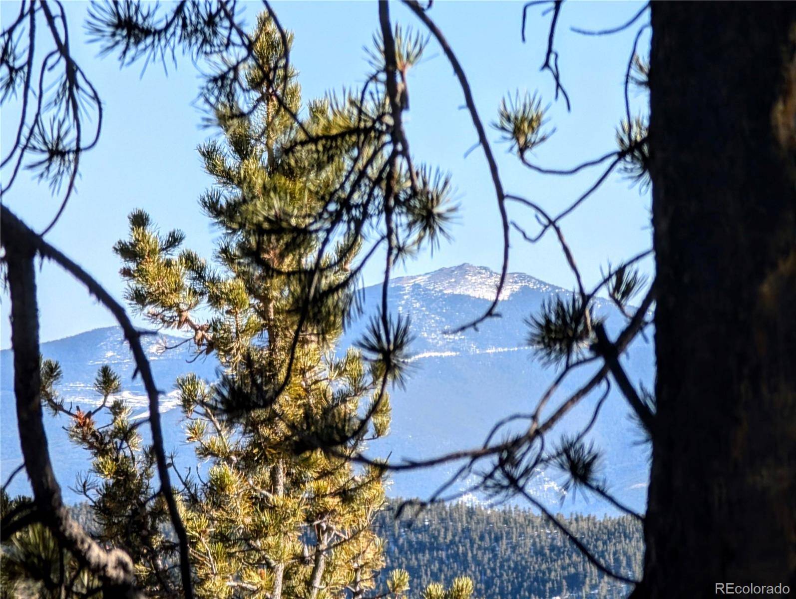 Lot 677 Alice RD, Idaho Springs, CO 80453