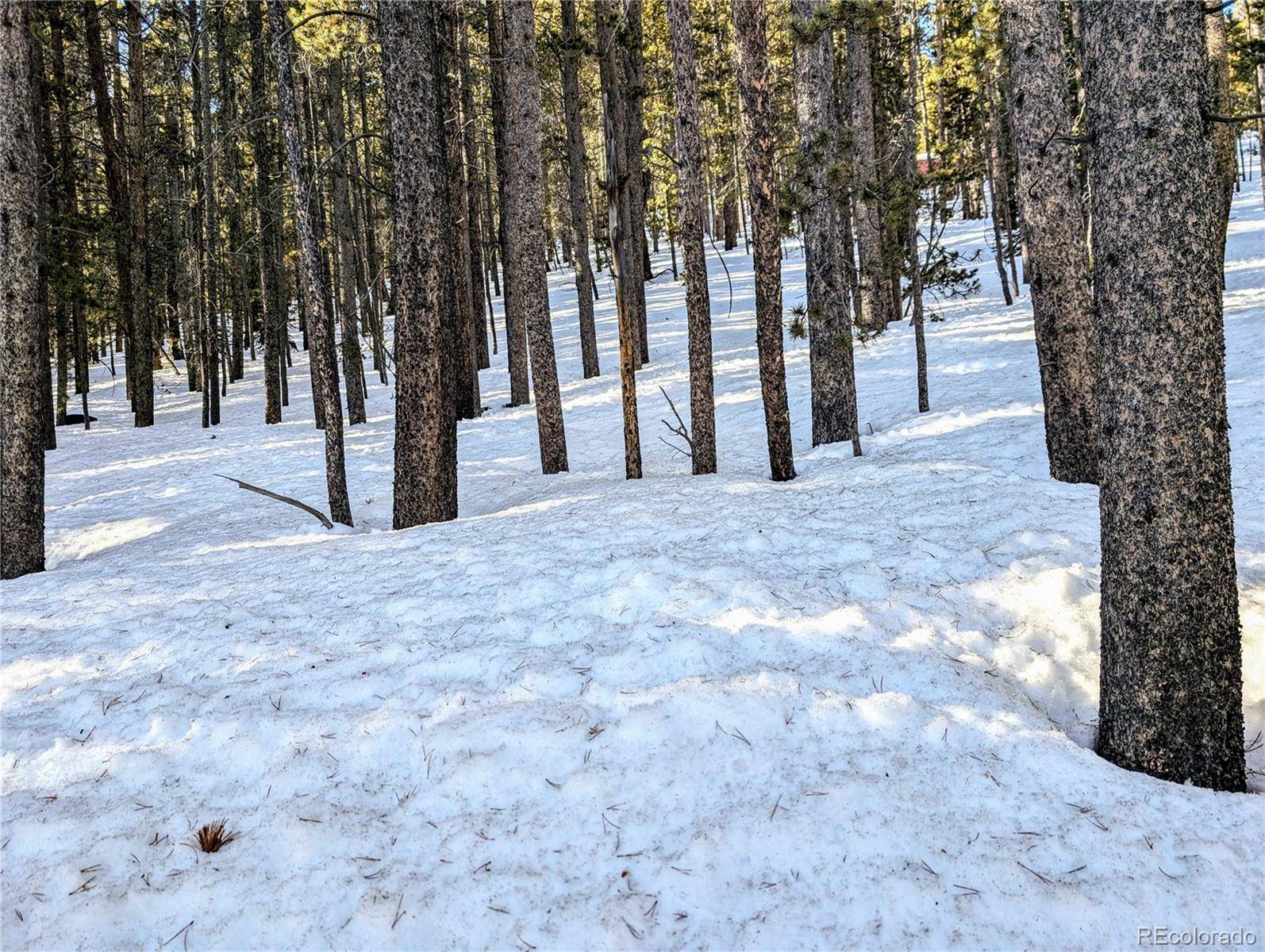 Lot 677 Alice RD, Idaho Springs, CO 80453