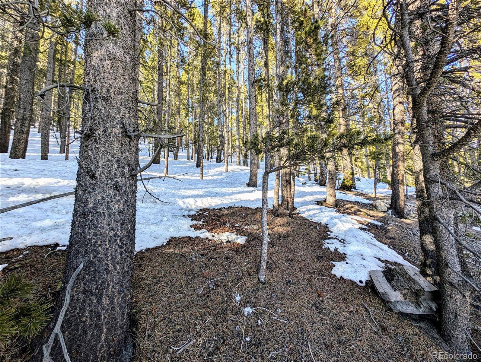 Lot 677 Alice RD, Idaho Springs, CO 80453