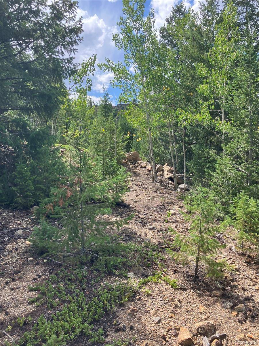 7 Miners RD, Black Hawk, CO 80422