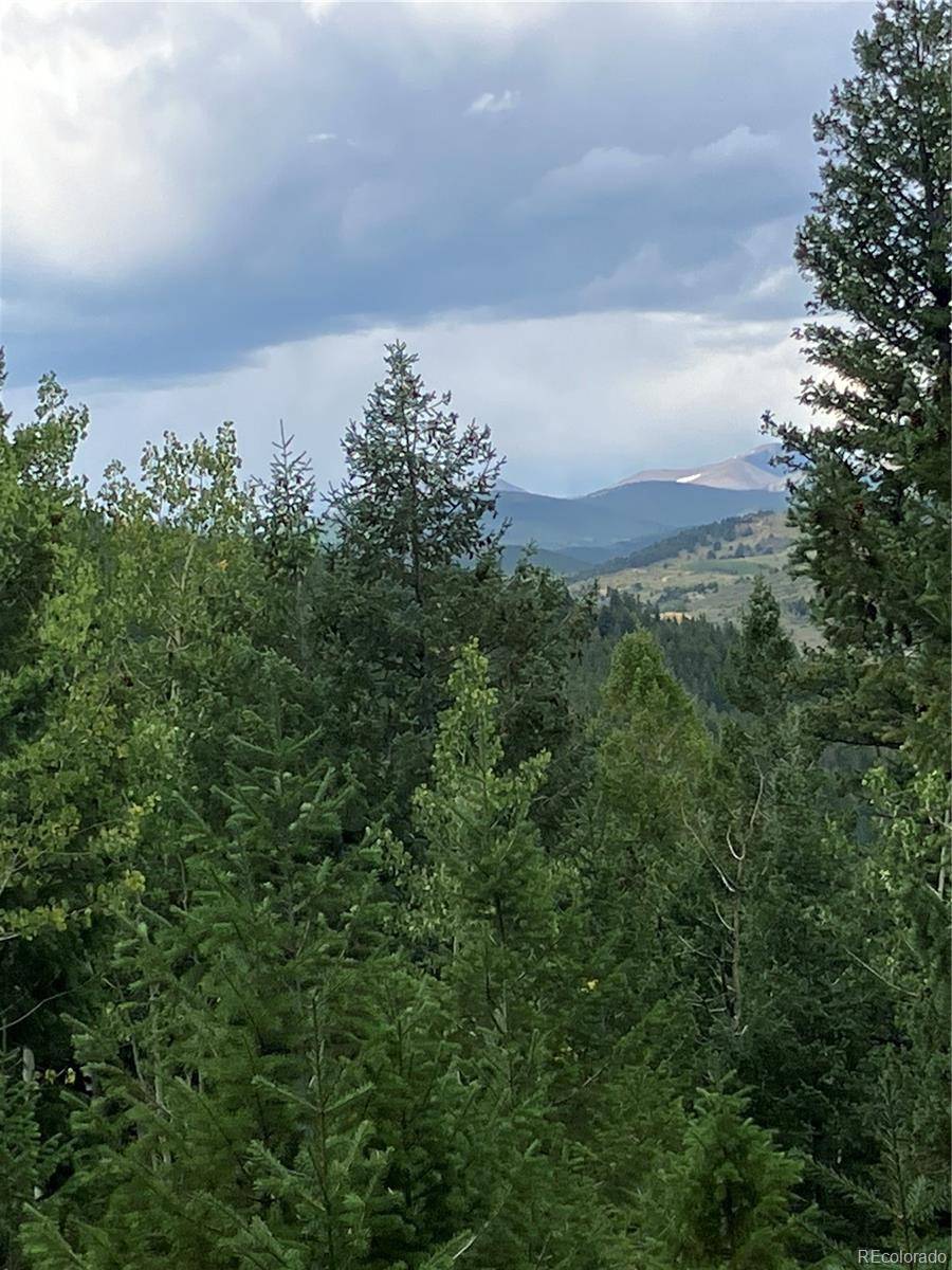 7 Miners RD, Black Hawk, CO 80422