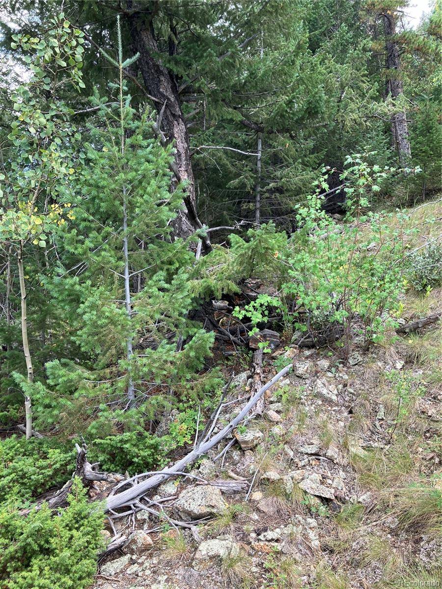 7 Miners RD, Black Hawk, CO 80422