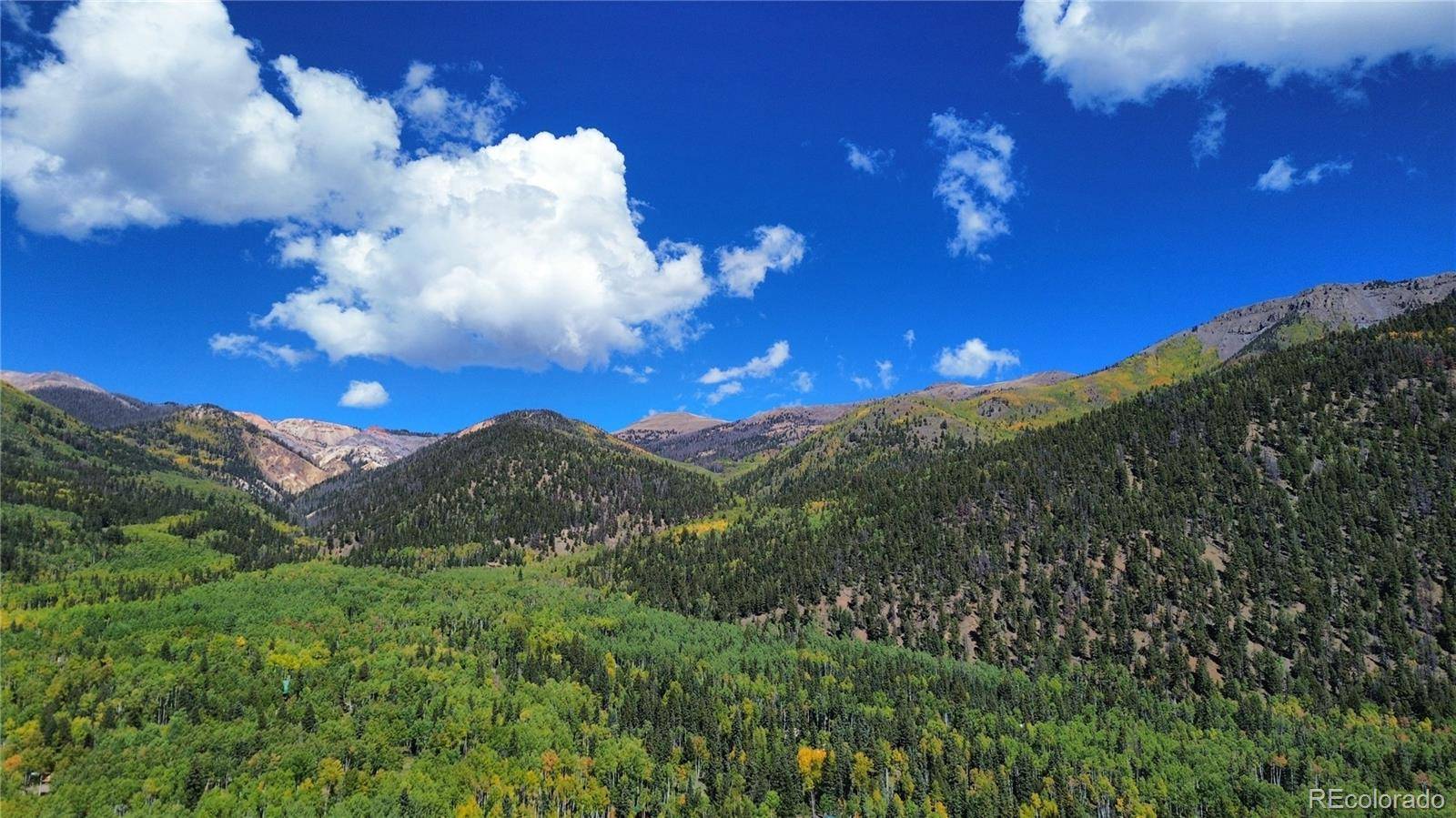 613 Alamosa AVE, Jasper, CO 81140