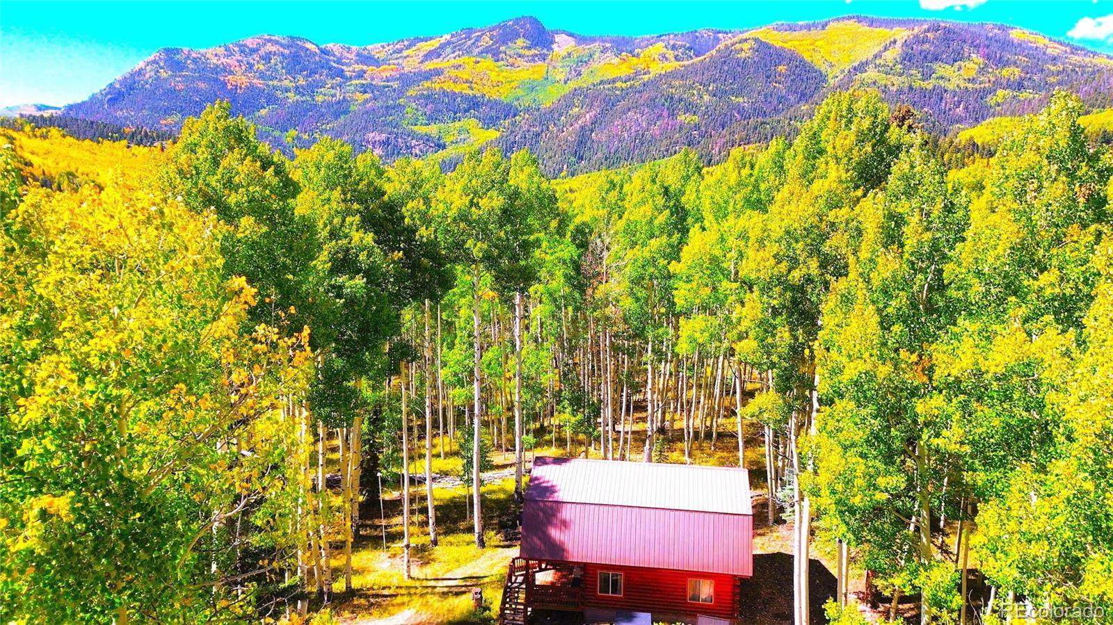 613 Alamosa AVE, Jasper, CO 81140