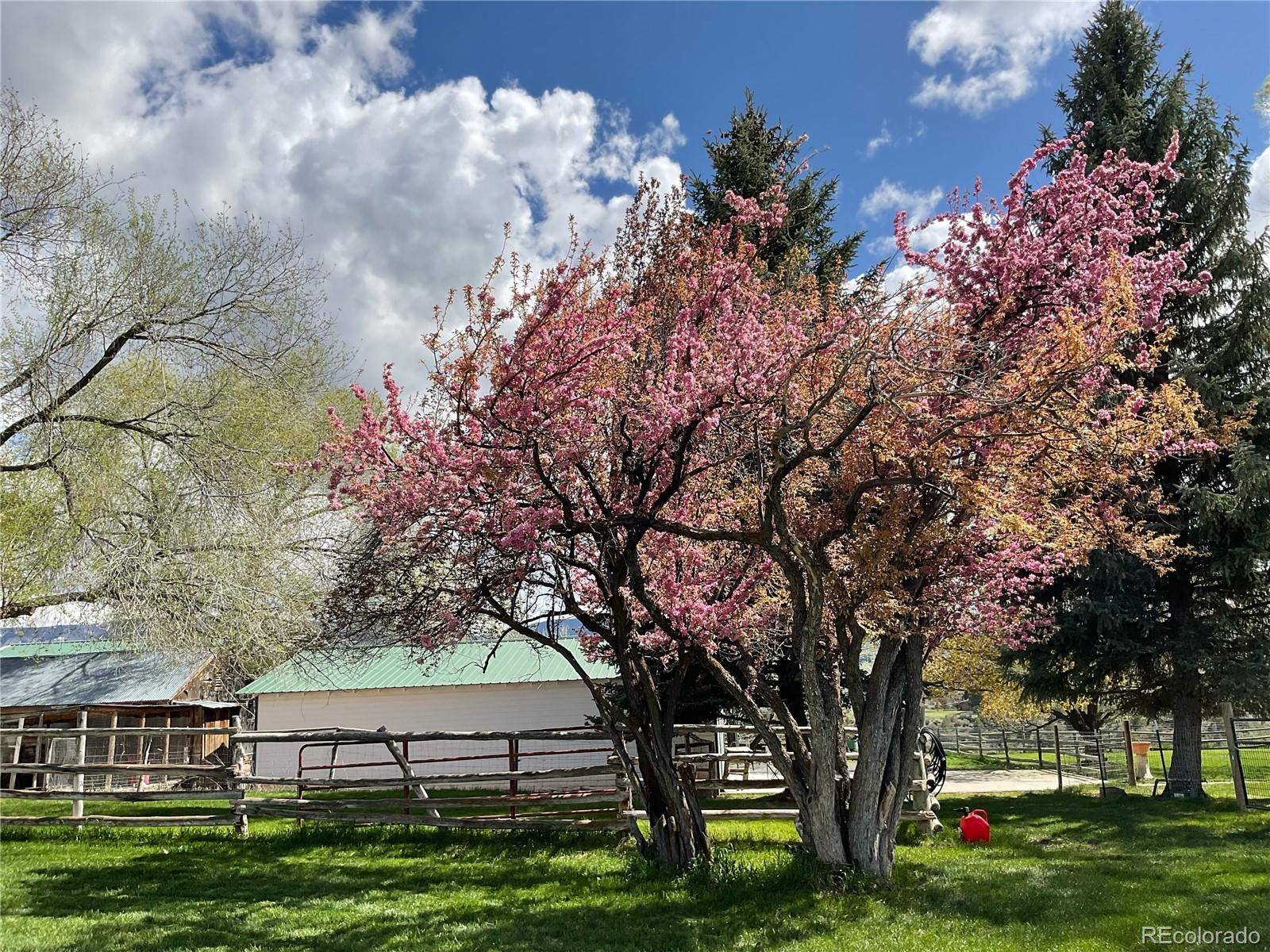 58590 PE 3/10 RD, Collbran, CO 81624
