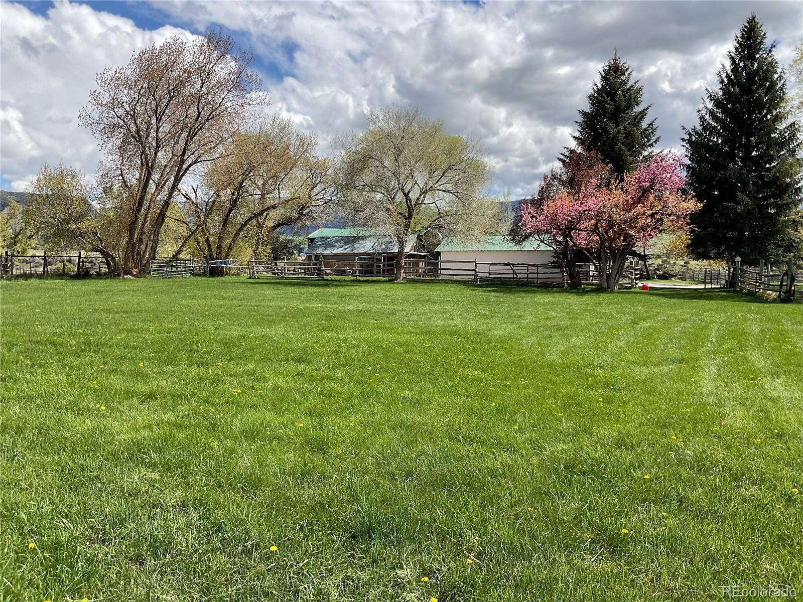 58590 PE 3/10 RD, Collbran, CO 81624