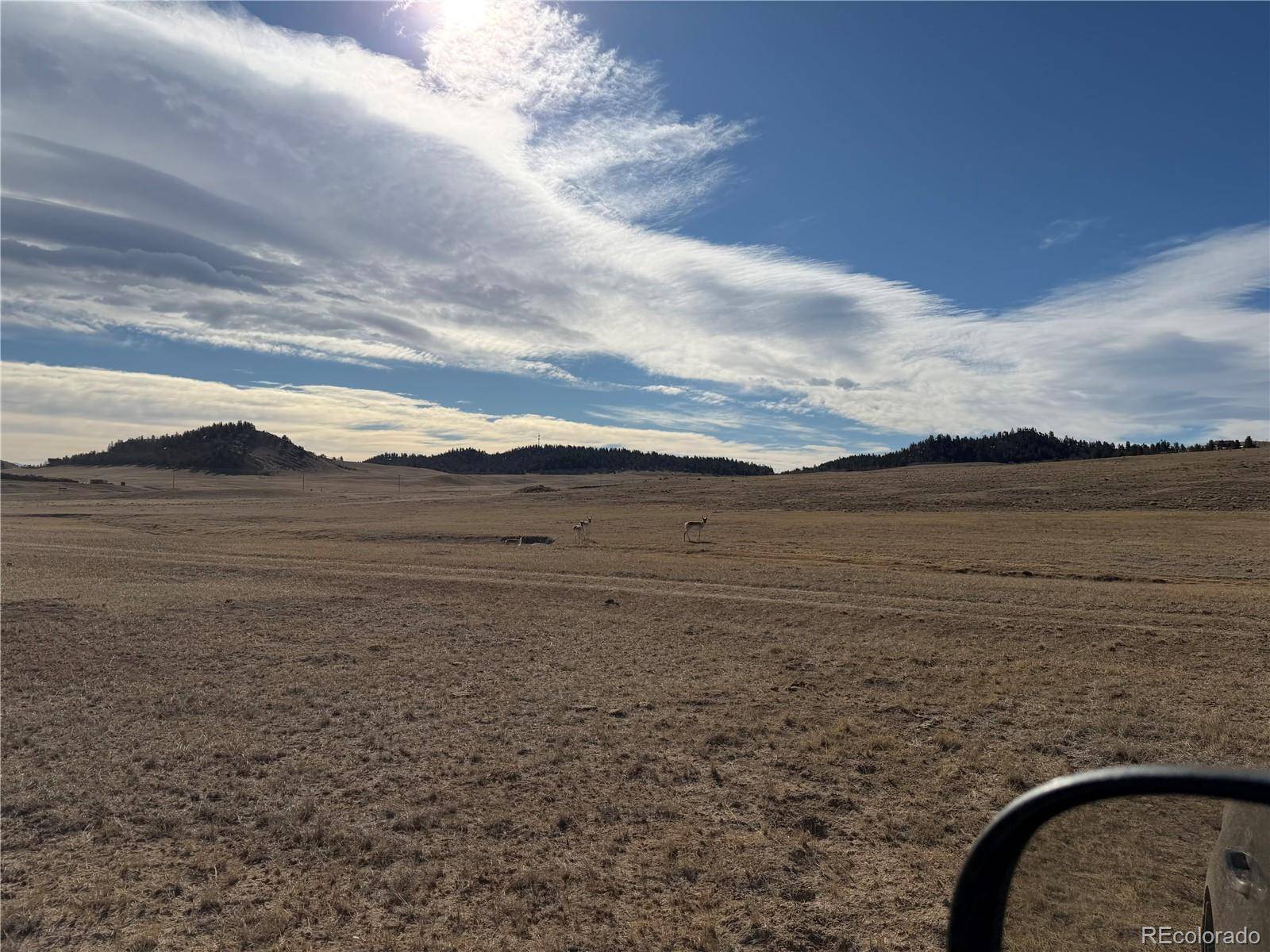 3 Ranch, Hartsel, CO 80449