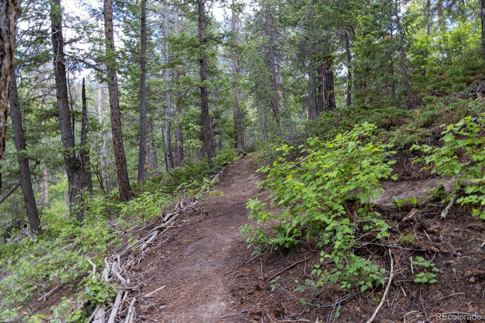 31429 Burke RD, Golden, CO 80403