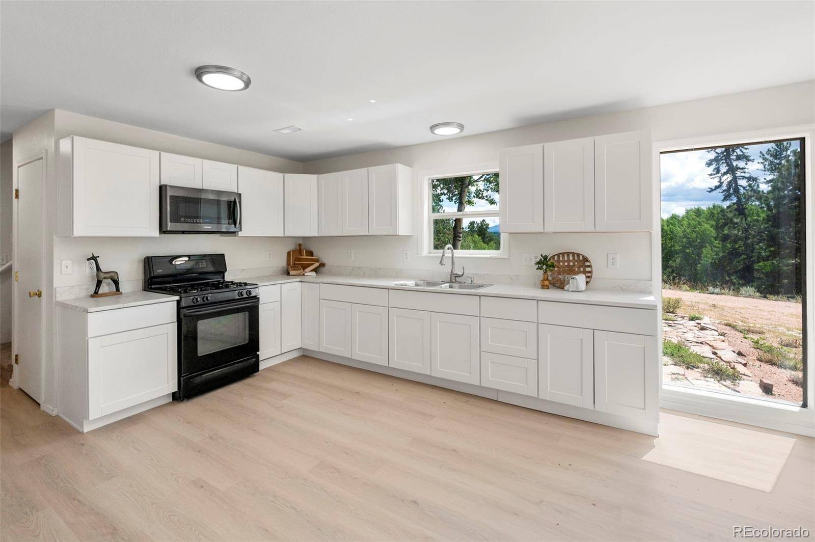 4710 Wildhorn RD, Florissant, CO 80816