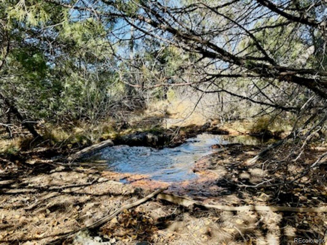 15 Lake Of The Falls, Mosca, CO 81146