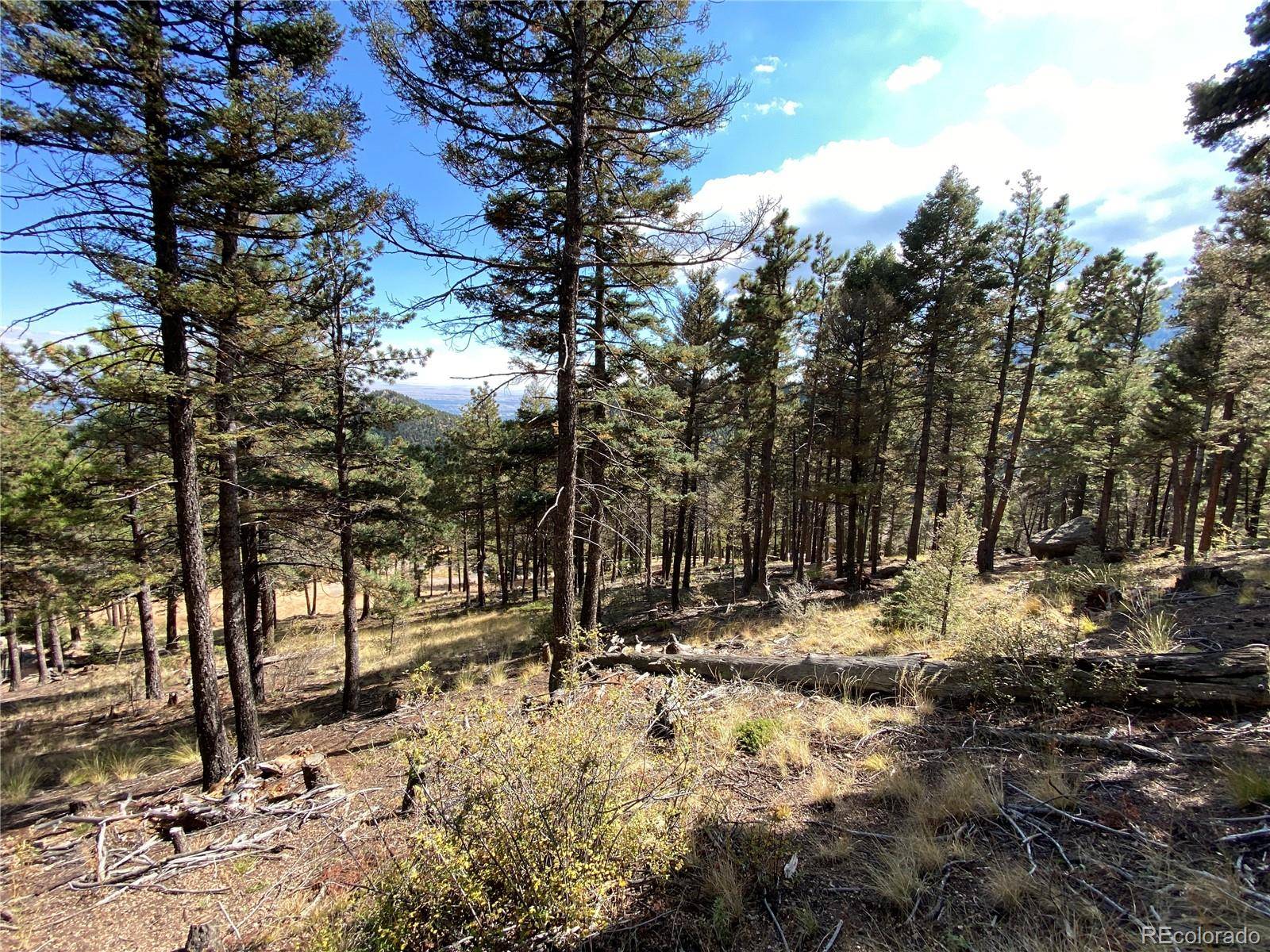 342 Ponderosa VW, Manitou Springs, CO 80829