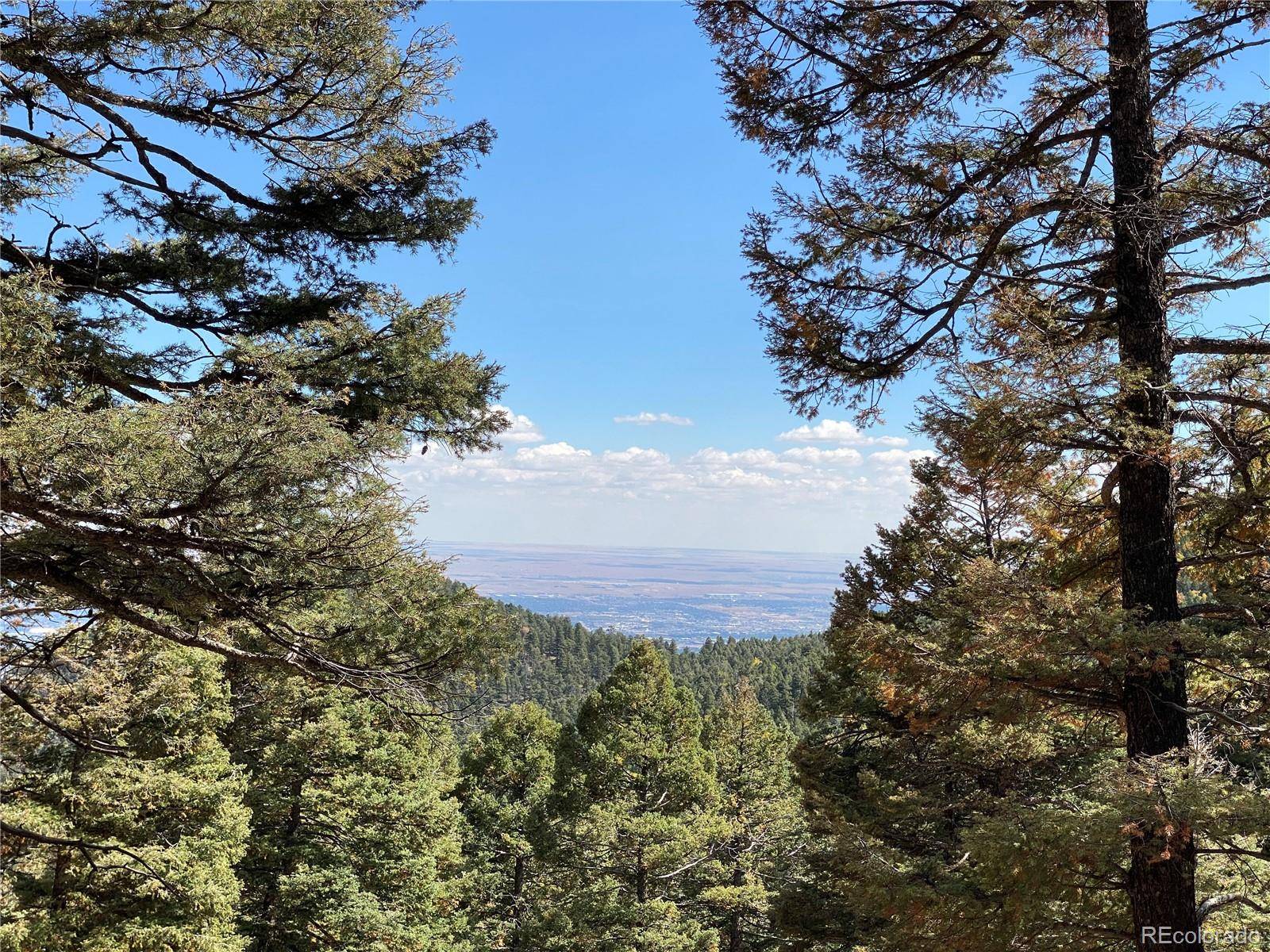 342 Ponderosa VW, Manitou Springs, CO 80829