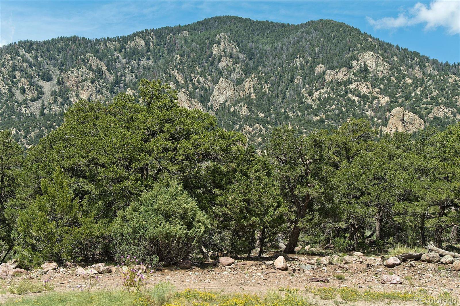 532 N Hillcrest Ol, Crestone, CO 81131
