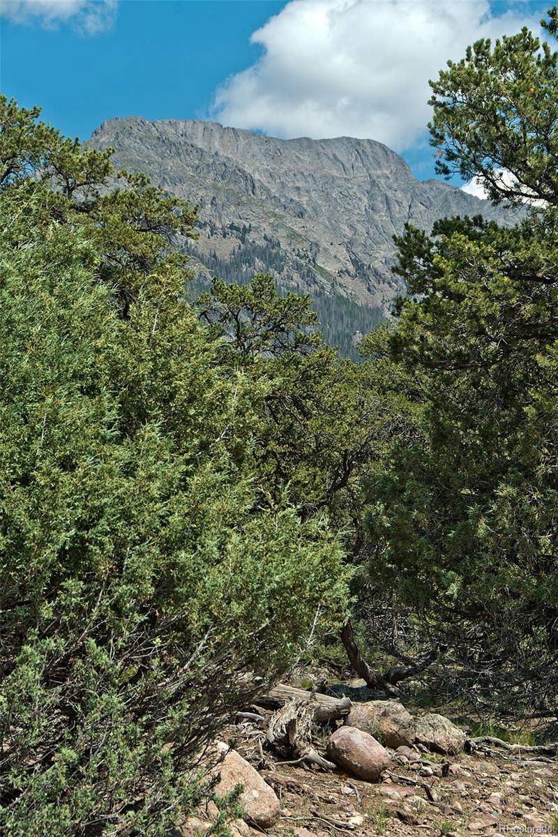 532 N Hillcrest Ol, Crestone, CO 81131
