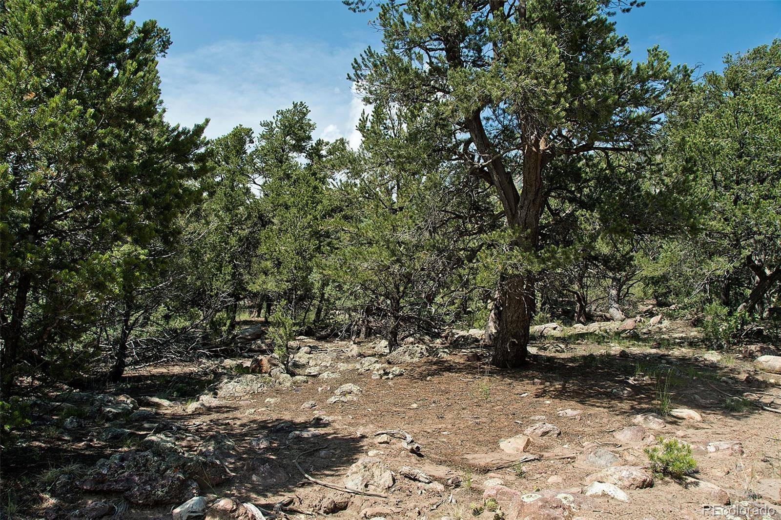 532 N Hillcrest Ol, Crestone, CO 81131