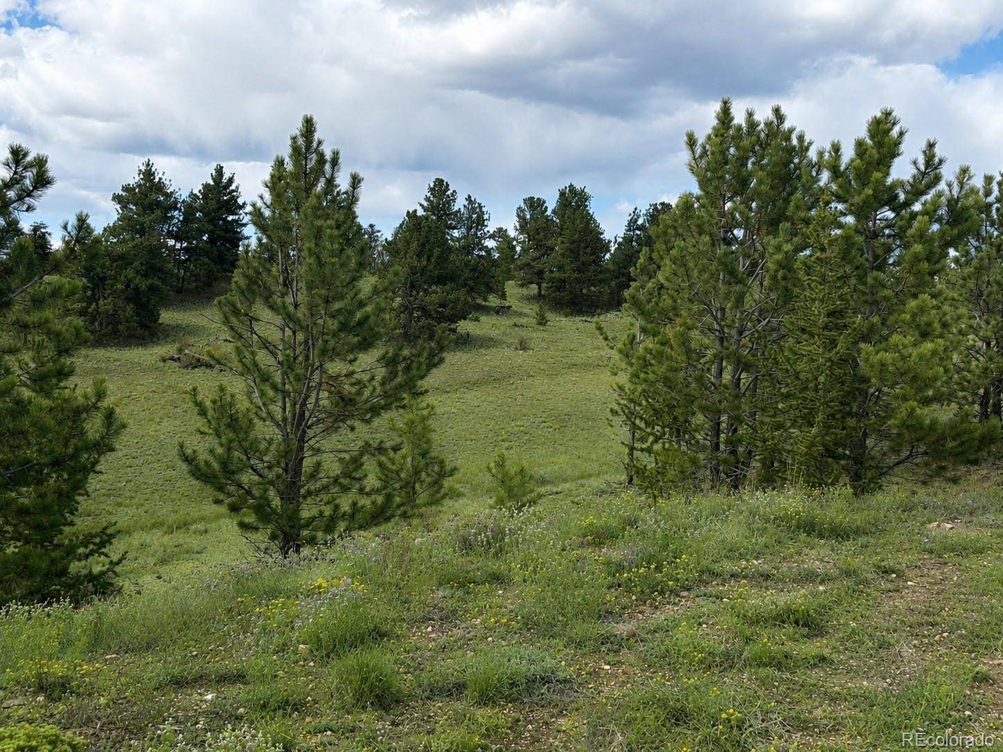 115 Black Canyon CT, Hartsel, CO 80449
