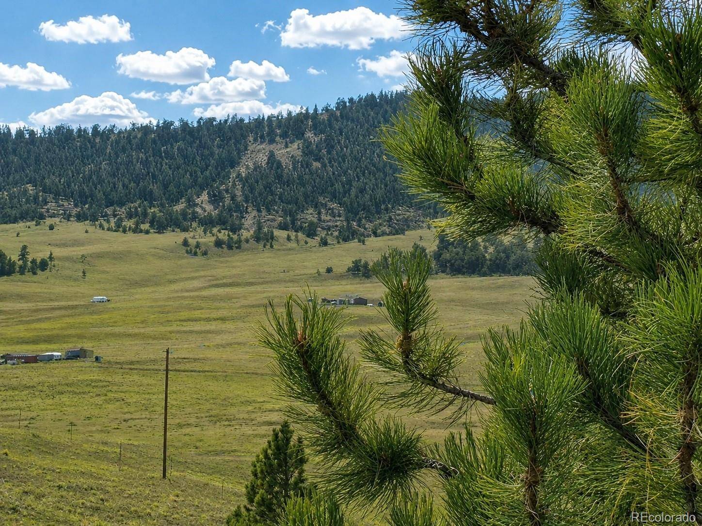 115 Black Canyon CT, Hartsel, CO 80449