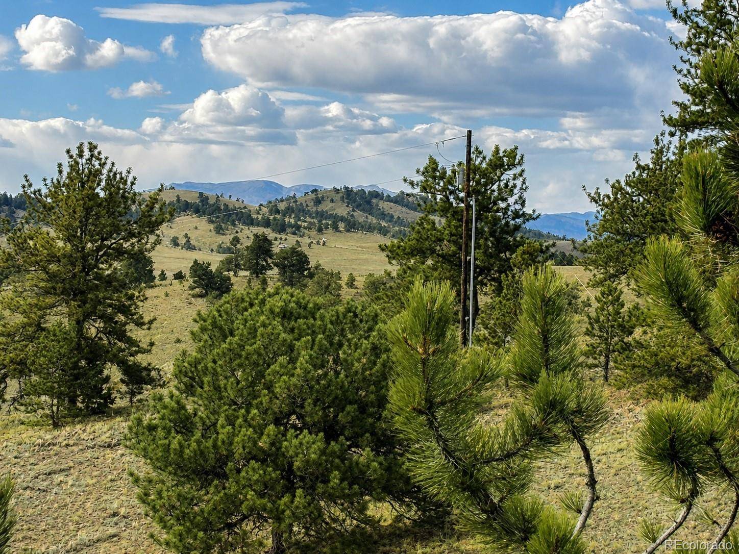 115 Black Canyon CT, Hartsel, CO 80449