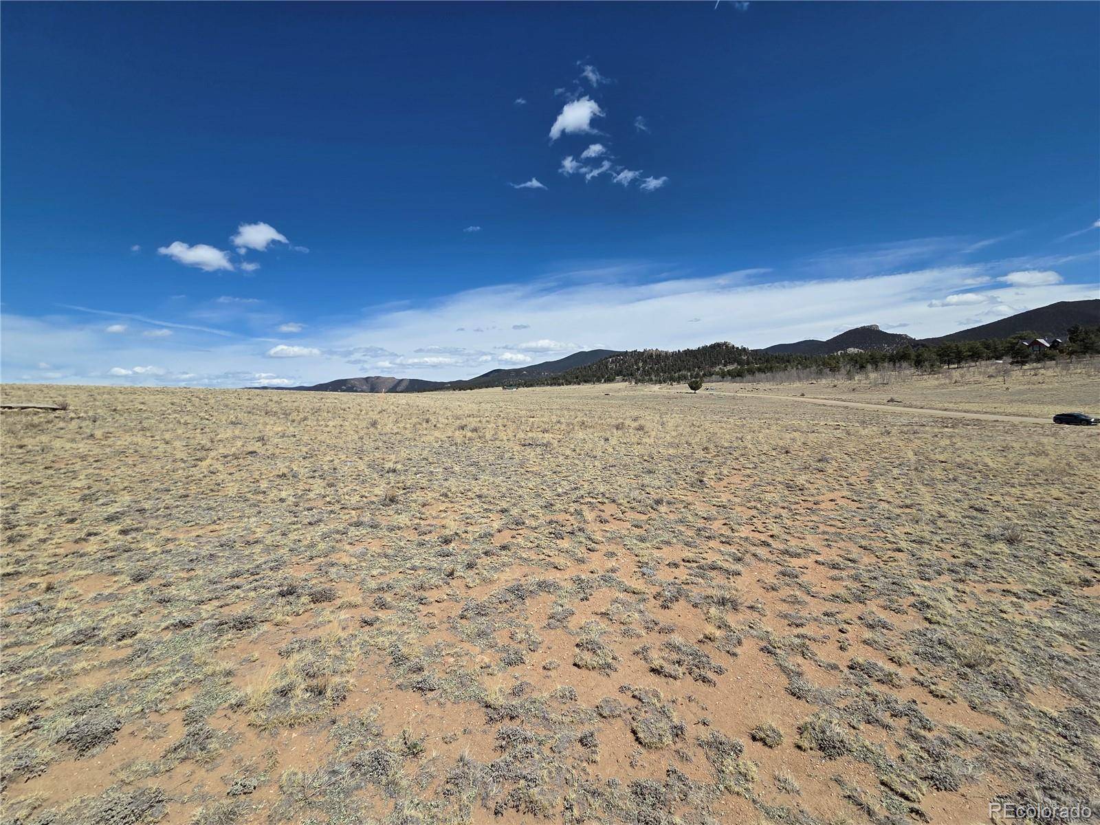 3489 Ute TRCE, Hartsel, CO 80449