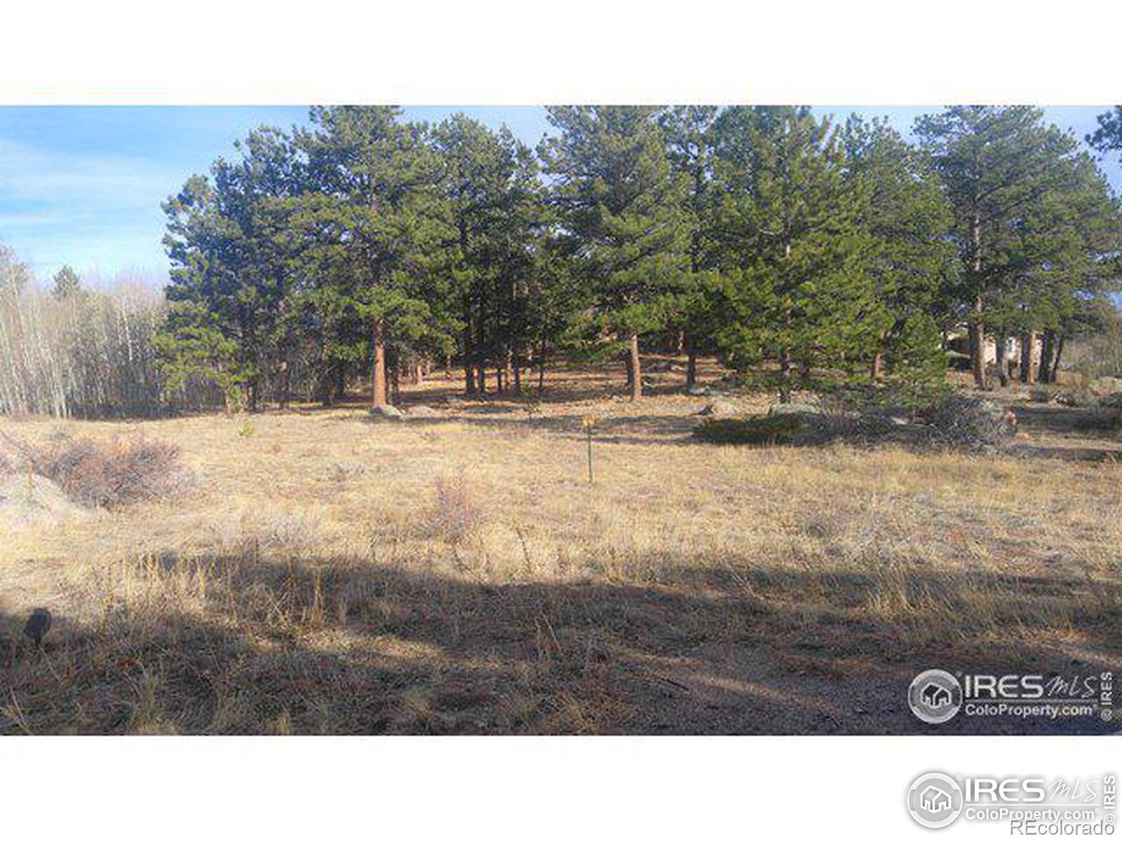 1 Fox Acres DR, Red Feather Lakes, CO 80545