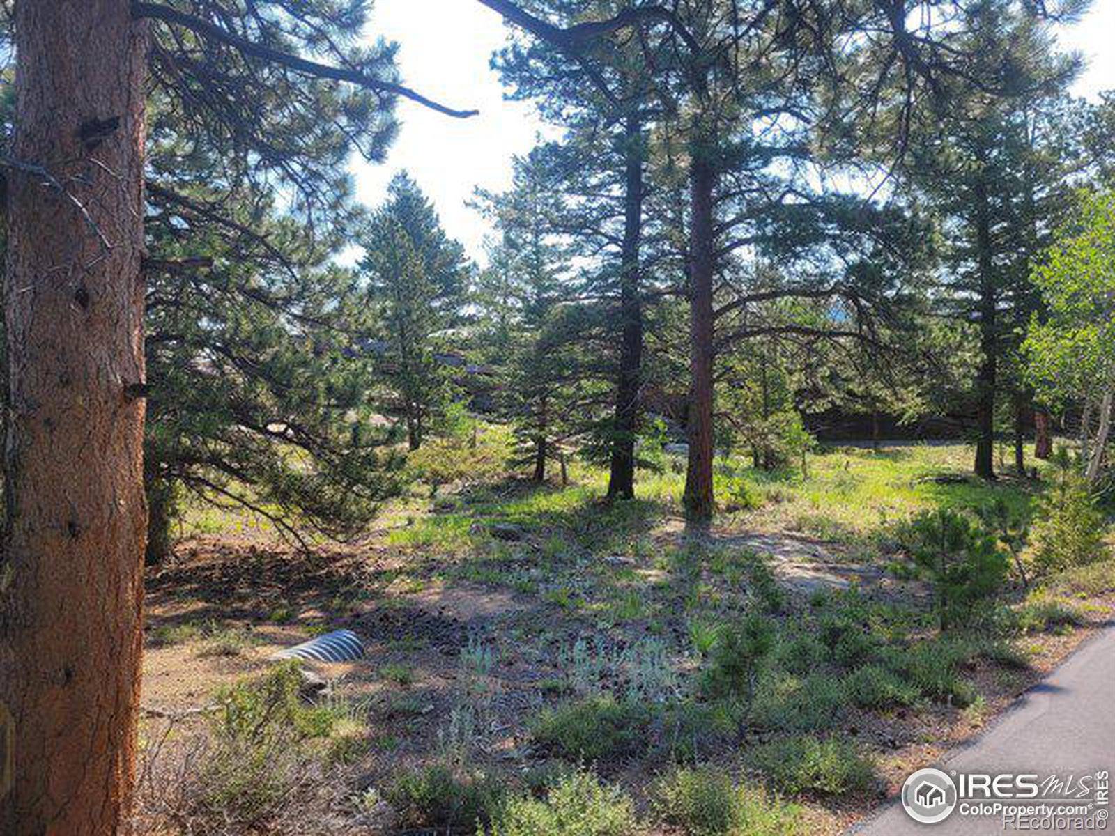 1 Fox Acres DR, Red Feather Lakes, CO 80545