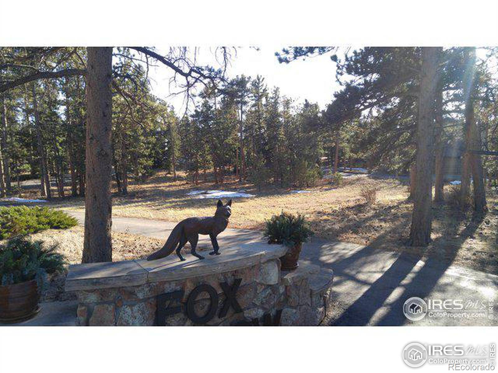 0 Fox Acres DR, Red Feather Lakes, CO 80545