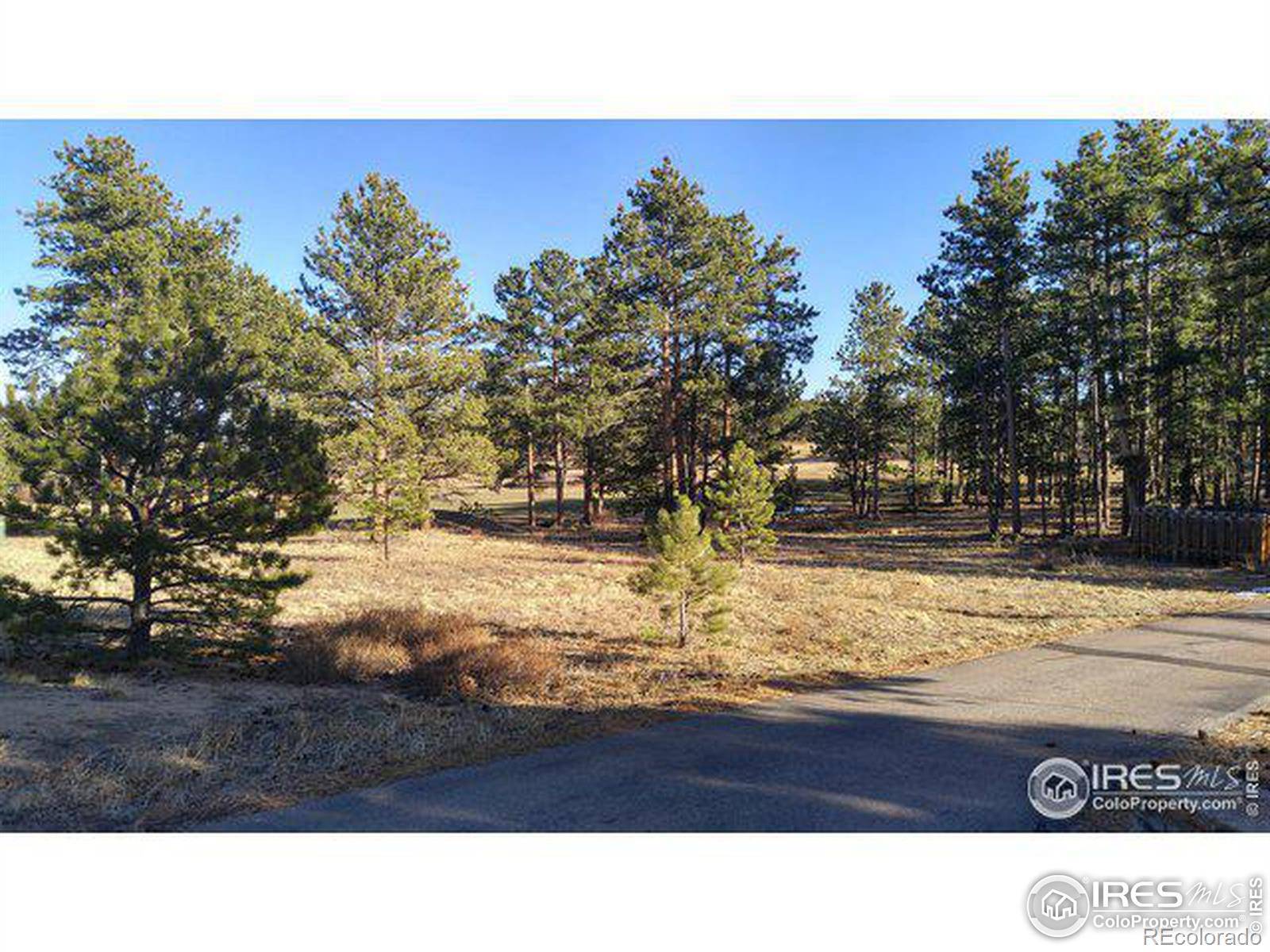 0 Fox Acres DR, Red Feather Lakes, CO 80545