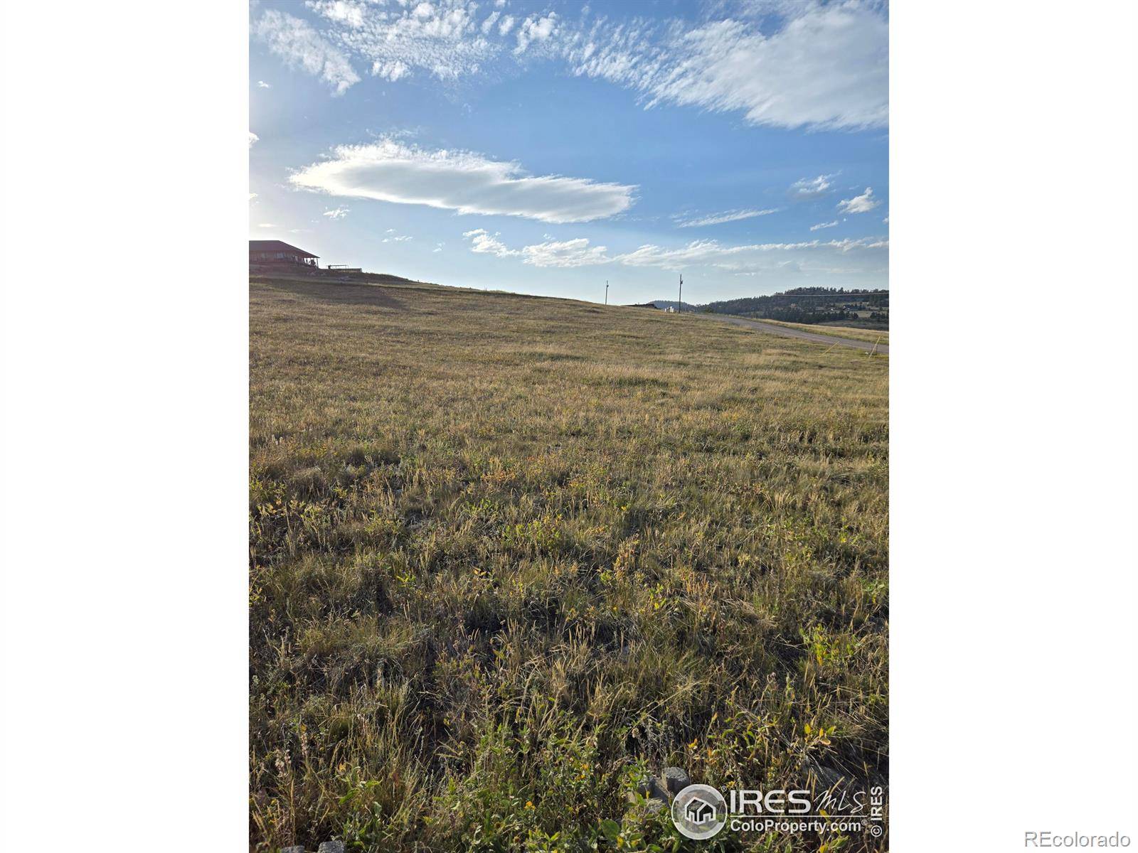 443 Meadow Mountain DR, Livermore, CO 80536