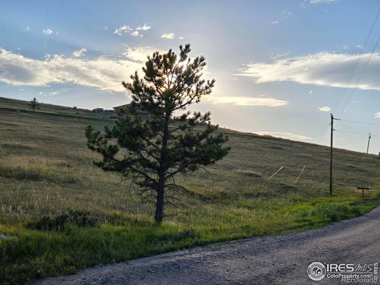 443 Meadow Mountain DR, Livermore, CO 80536