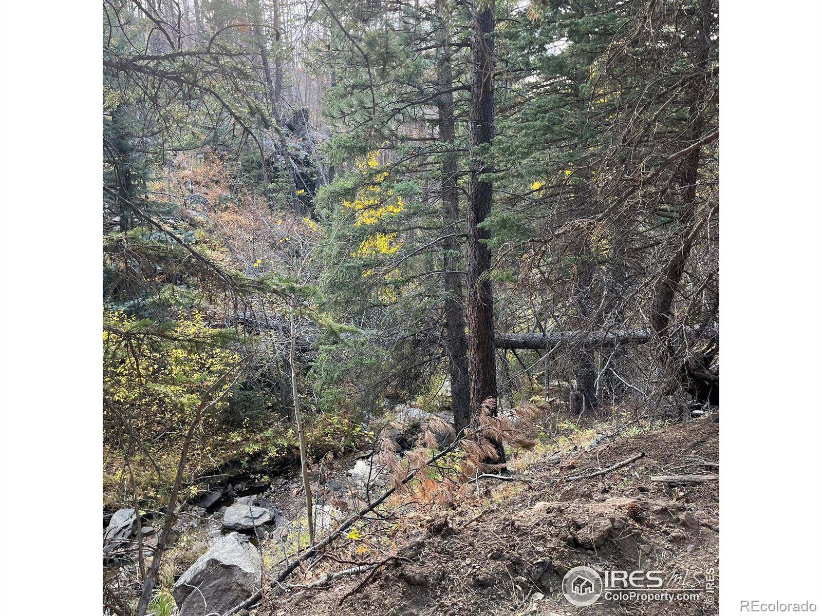 11 Monument Gulch WAY, Bellvue, CO 80512