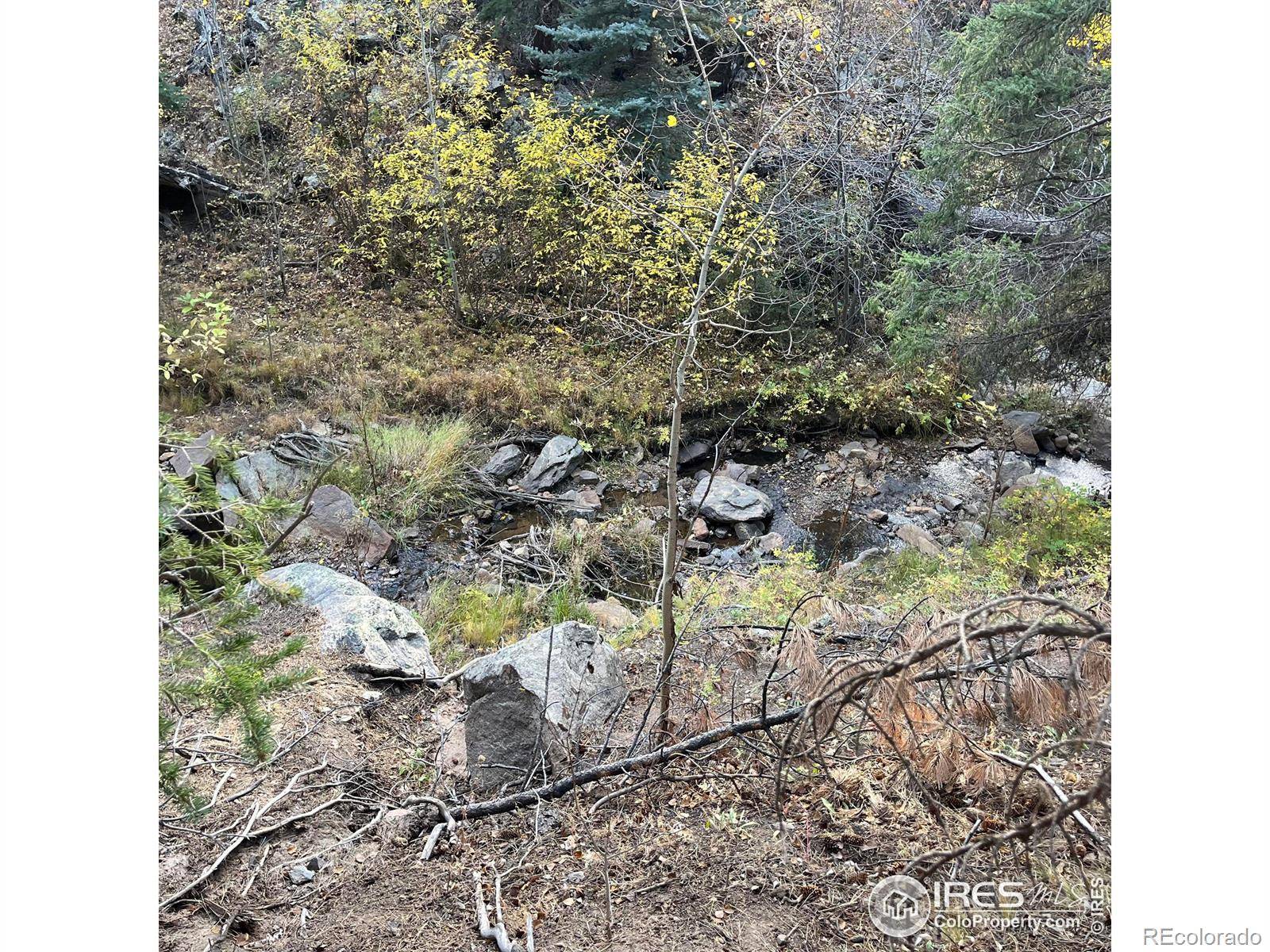 11 Monument Gulch WAY, Bellvue, CO 80512