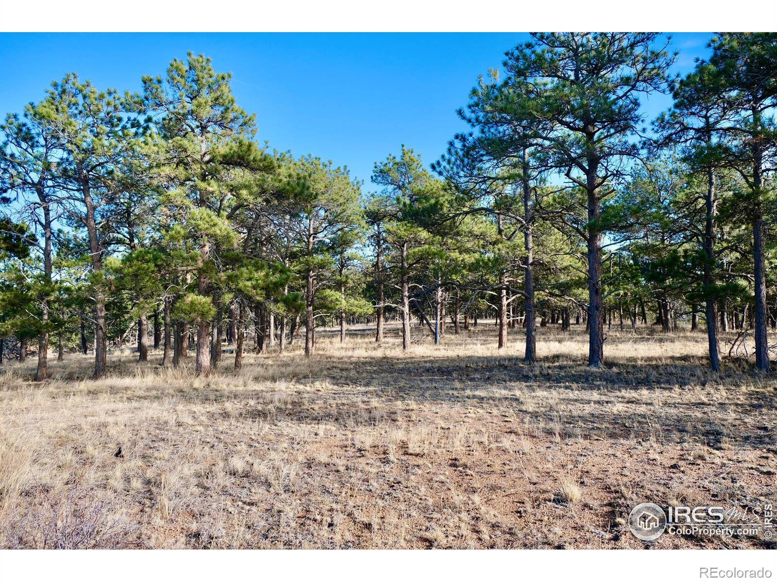0 Walno AVE, Livermore, CO 80536
