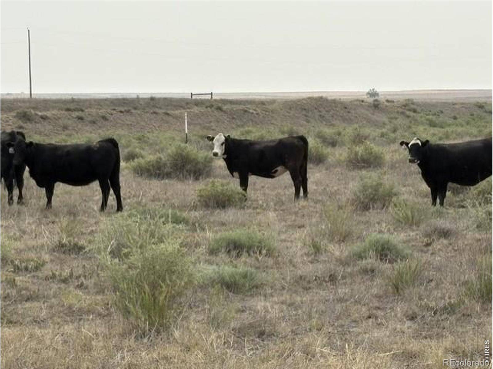Lot J County Road 43 and 96, Pierce, CO 80650